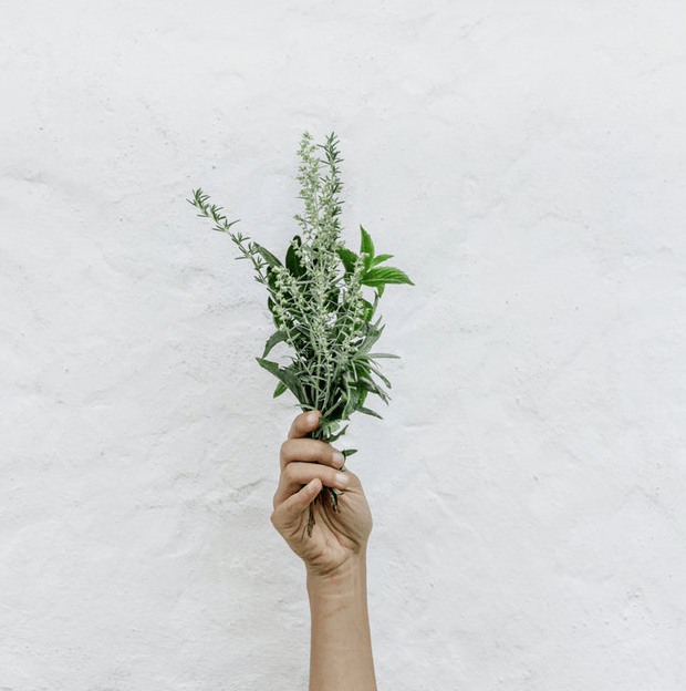 Screen Shot 2018-07-25 at 8.25.25 PM.png